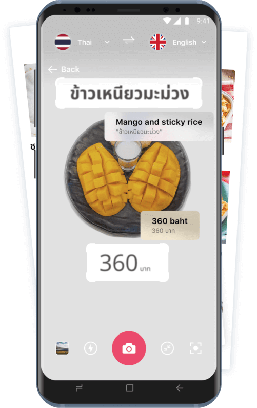 Translate Text into Any Language